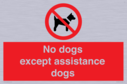 no-dogs-except-assistance-dogs~